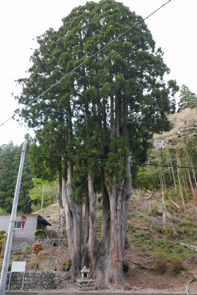 µÈÂô¤ÎÅĹâ¿ù£¹