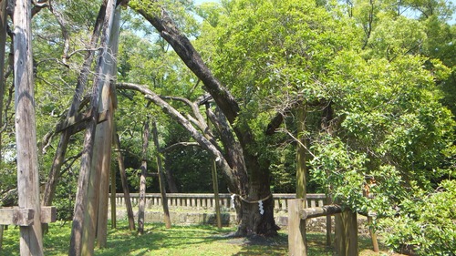 ������Ҥζ��ںԡ���