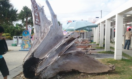 °ÂÇȤΥª¥¥Ê¥ï¥µ¥¥·¥Þ¥¹¥ª¥¦¥Î¥¡¡£±