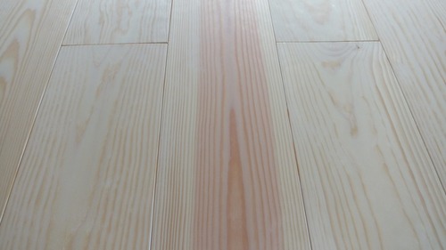 �н��־�����̵������ʪ�ե�����󥰣���