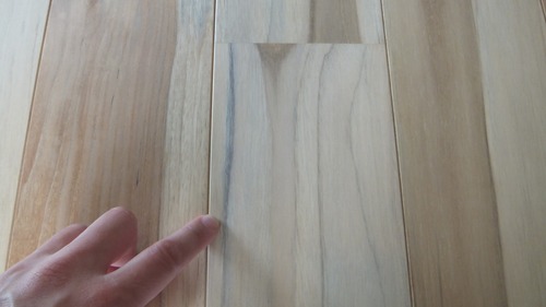 �ͥ���������� �ͥ����åɥ��졼�ɣ�