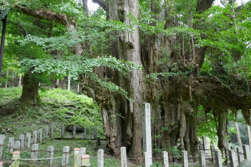 ������Υ����祦������