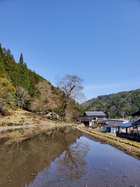 ���奶����