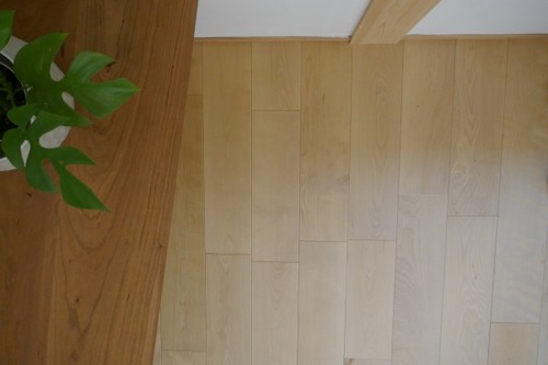 С(С̵ĤʤV¥ե󥰻ܹ 3