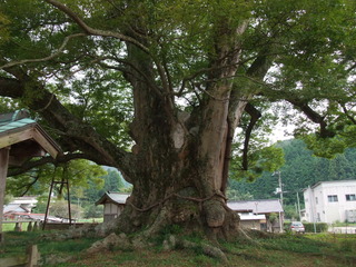 ��֤��礱�䤭����