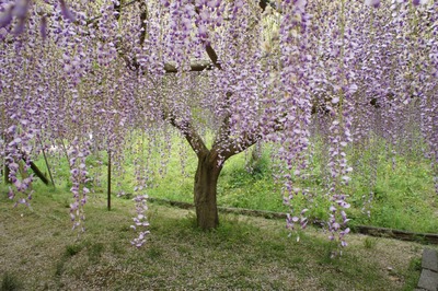 ���ݻ��ζ��ƣ����