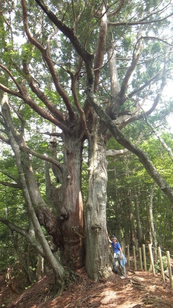 ²ÖÀÔ¤ÎÅ·Á³Éú¾òÂæ¿ù 8