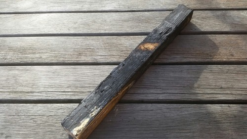 dz¤¨¤Ê¤¤¤â¤Î£±