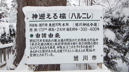 ���ޤ���������