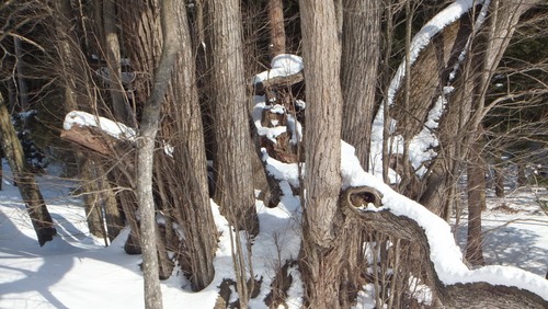 ¸Å²°ÉߤÎÀéËÜ·Ë£µ