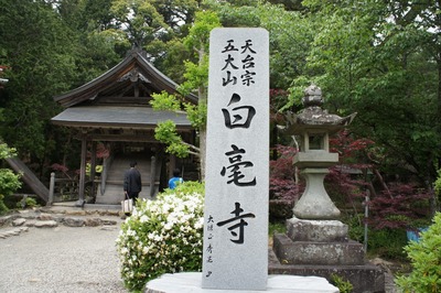 ���ݻ��ζ��ƣ����