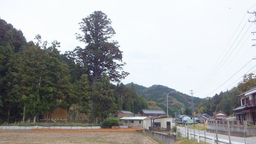 �ƻ������������