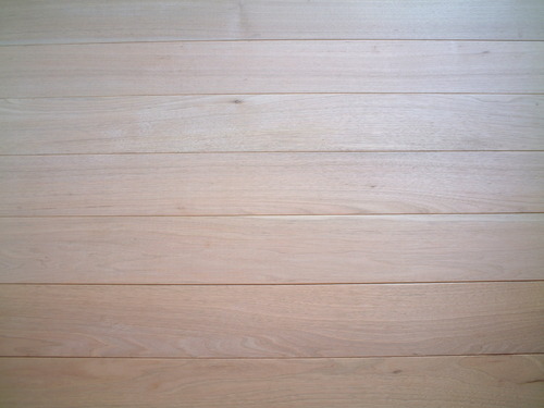 ����̵������ʪ�����ե�����󥰡���