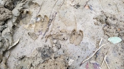 �ٶ�������棴