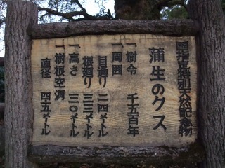 ³÷À¸¤ÎÂ祯¥¹¡¡£²