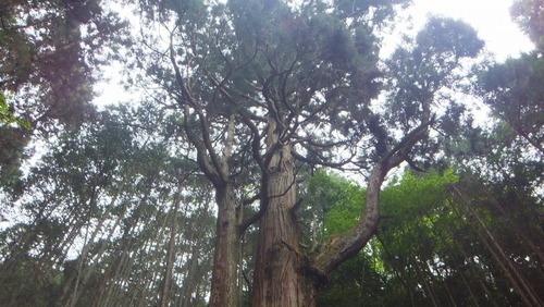 �۶����������ŷ�����