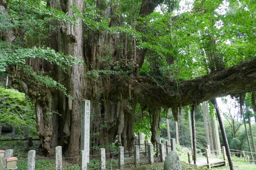 ������Υ����祦������