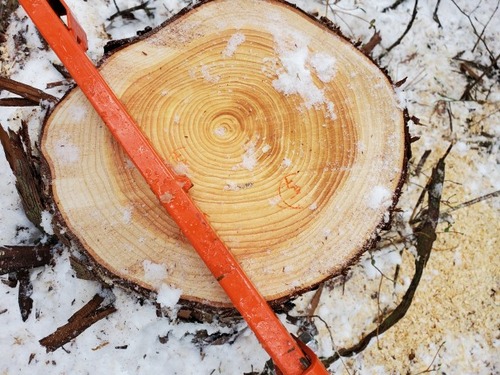 ��׼���־�����Ƥ롢�����͡���������2025-8