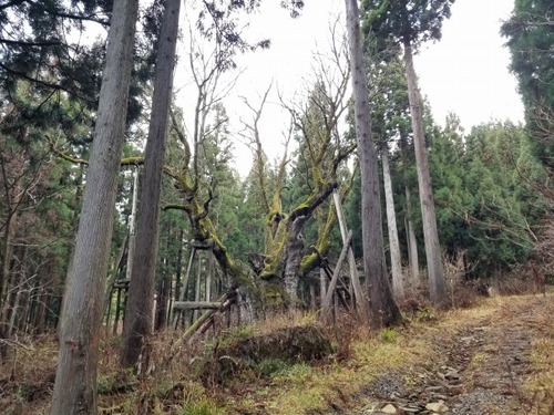 ���Ĥ���ȥ�3