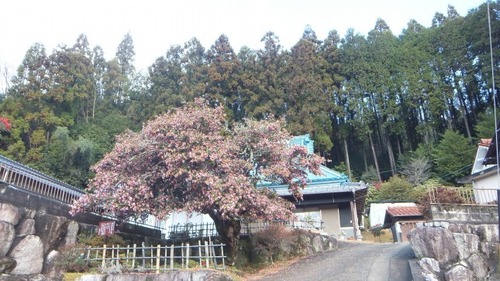 ���Υ����󥫡�7