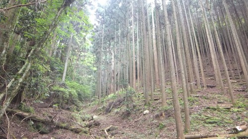 �۶��������ŷ�����