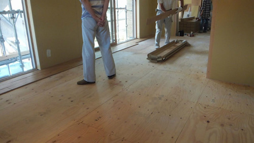 �����ǹ礻��