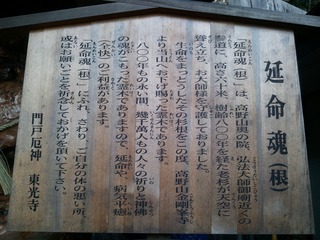 ����κ�����