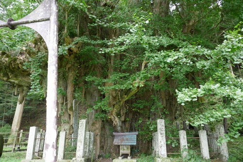 ������Υ����祦����