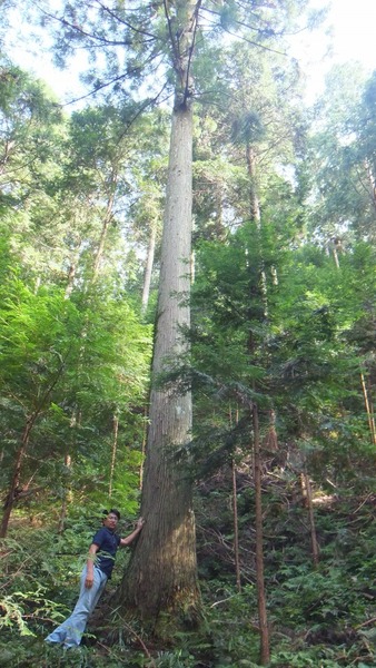 ����ǯ����