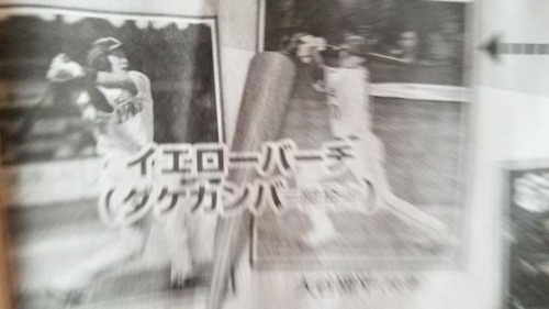 ��������ФΥХåȣ�