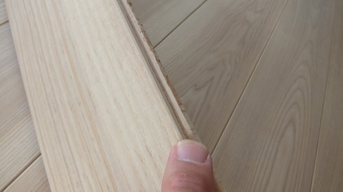 À¶Î俤â¡Ê¤»¤¤¤ê¤ç¤¦¤¿¤â¡ËÉý¹Ìµ¹¤°ìËçʪ¥Õ¥í¡¼¥ê¥ó¥°£±£´