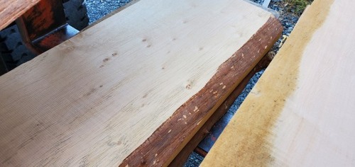 �ϥ�̵�����ģ�