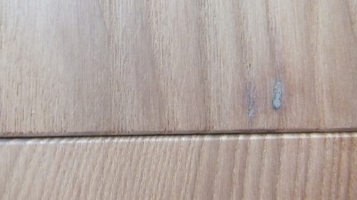 �����󥷥���ȥ��å�������̵������ʪ�ե�����󥰡���