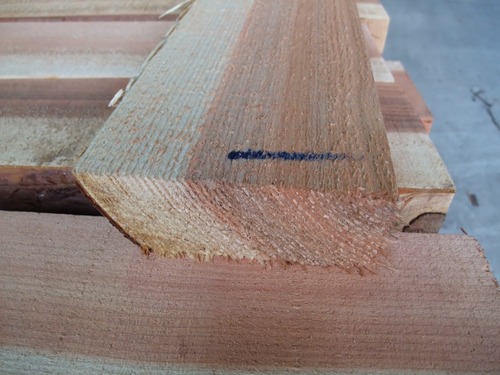 ����̵����¤��ե�����󥰸��ĳ���