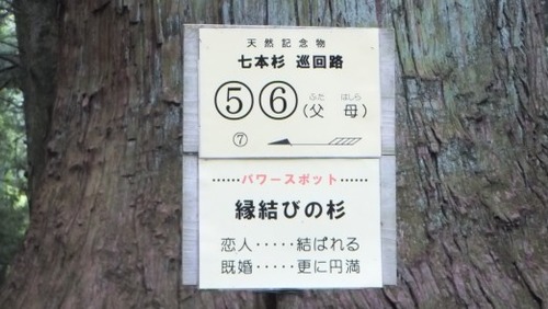 �ϸ����ֿ��Ҥμ��ܿ���