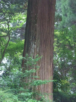 �Ҥ�������������