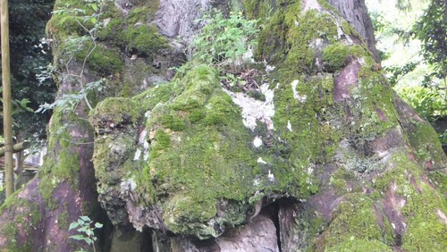 ���������९��