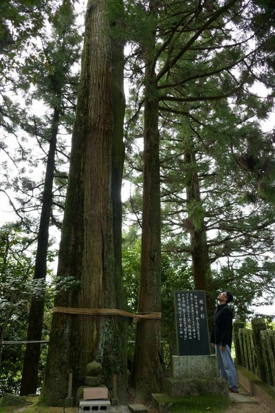 ͡�ᱩ���Ҥοƻҿ��ȥ������������