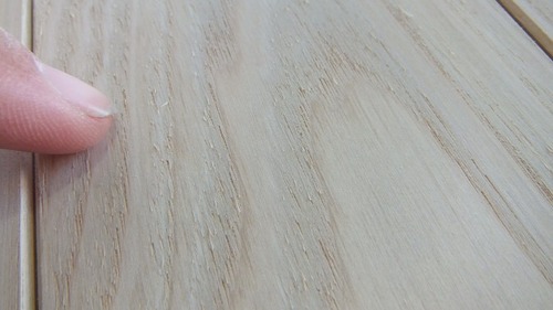 ÆüËܤιÍÕ¼ù̵¹¤¥Õ¥í¡¼¥ê¥ó¥° ¾¡·ª¡Ê¤¹¤°¤ê¡Ë°ìËçʪ¥Õ¥í¡¼¥ê¥ó¥°6