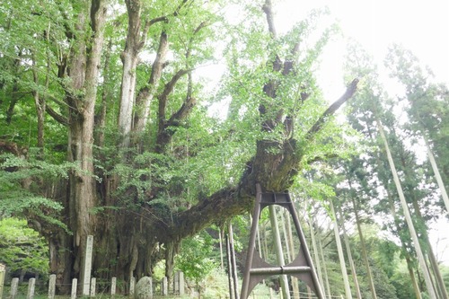 ������Υ����祦������