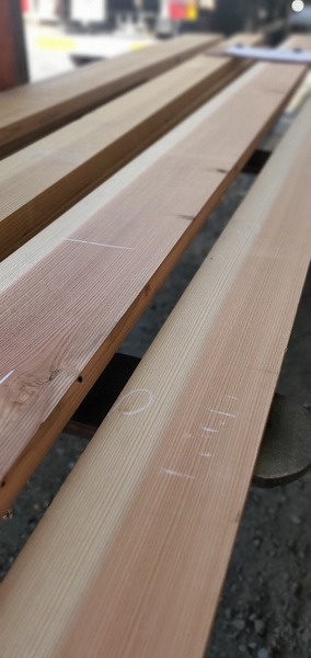 ���������Ⱥ�