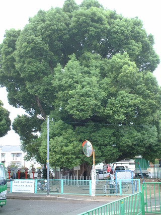 ¿åÈø¤Î¾À¡¡£±