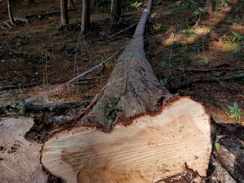 ������������������֤�����Ȳ�μ��� 2023 ��