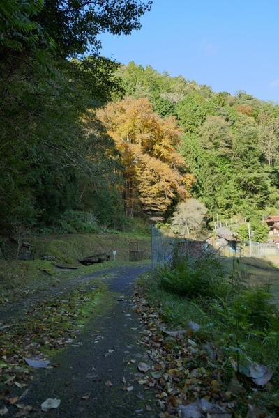 �����ƽФΥ��ĥ顡��