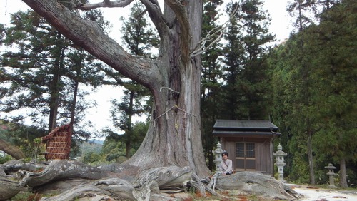 �ƻ����������