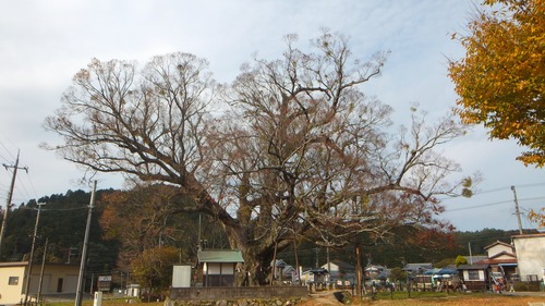 ��֤��祱�䥭�����С�����󡡣�