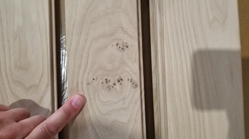 ÆüËܤιÍÕ¼ù̵¹¤¥Õ¥í¡¼¥ê¥ó¥° ¾¡·ª¡Ê¤¹¤°¤ê¡Ë°ìËçʪ¥Õ¥í¡¼¥ê¥ó¥°13