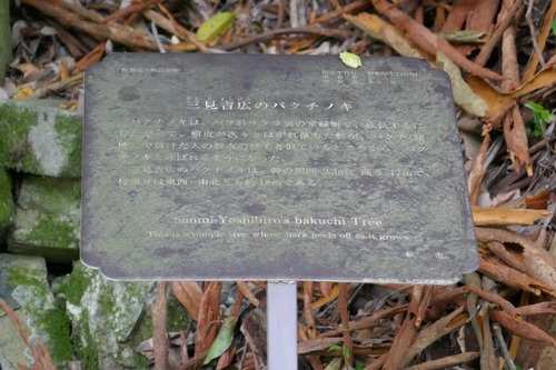 �����ȹ��ΥХ����Υ���