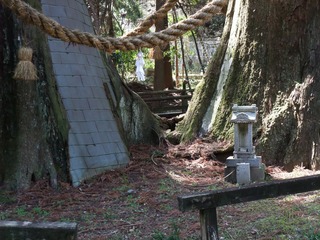 杉の大杉 11