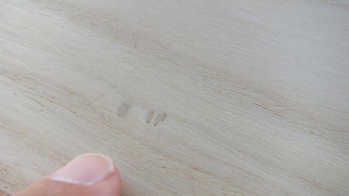 �͡ʥ���������९����ʪ�ե�����󥰣�